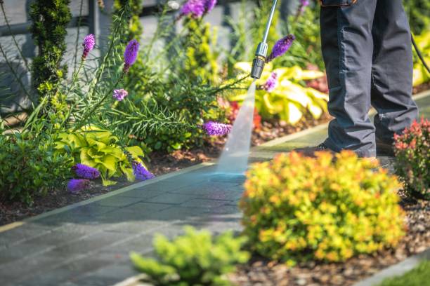 Trusted Delaware City, DE Pressure Washing Experts